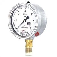ДМ8008-ВУф 600 кПа кт.1,0 G1/2" IP65 Б-110  ГЛИЦЕРИН УТ-00000996