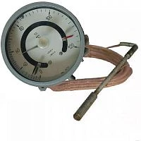ТМ2030Сг-2 (0...+100)°С-IV-2,5-6,0-160 УТ000010378