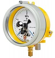 ДМ2005ф Сг1Ехd 16 МПа кл.1,5 исп V УТ000010690