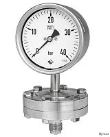 RCh (G) 100-3vDW 6 bar + MDM7910vd8 PN60 G1/2" УТ000003924