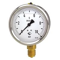 RCh G 100-1 160 kgf/cm2 G1/2" Глицерин УТ000009284